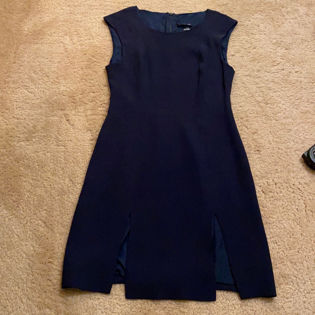 Brand New 100% Silk Little Blank Dress